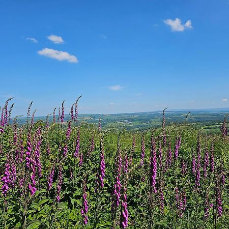 Callington Summit Camping Kit Hill Cornwall Panoramic Views Grass Pitch From 15Pn Or Bella Bell Tent 75Pn מראה חיצוני תמונה