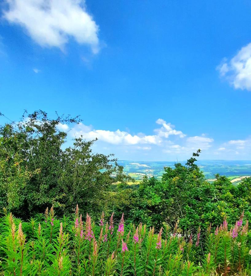 Callington Summit Camping Kit Hill Cornwall Panoramic Views Grass Pitch From 15Pn Or Bella Bell Tent 75Pn מראה חיצוני תמונה