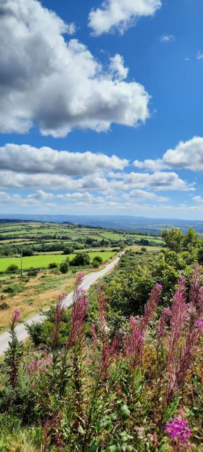 Callington Summit Camping Kit Hill Cornwall Panoramic Views Grass Pitch From 15Pn Or Bella Bell Tent 75Pn מראה חיצוני תמונה